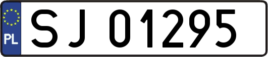 SJ01295