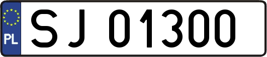 SJ01300