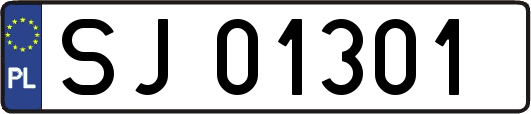 SJ01301