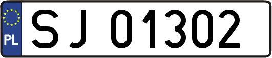 SJ01302
