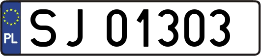 SJ01303
