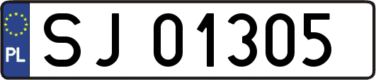 SJ01305