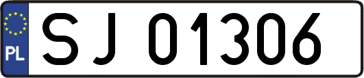 SJ01306