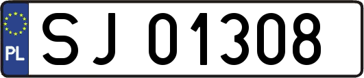 SJ01308