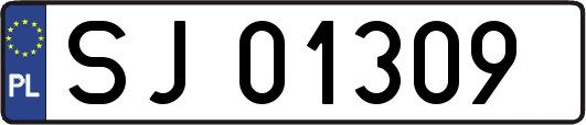 SJ01309