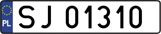SJ01310