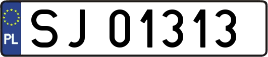 SJ01313