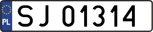 SJ01314