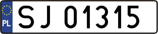 SJ01315