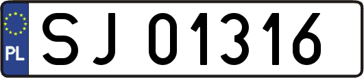 SJ01316