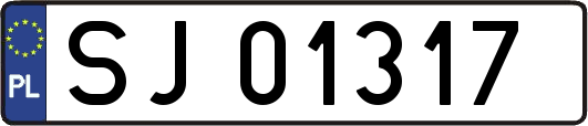 SJ01317