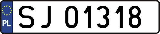 SJ01318