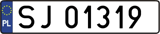 SJ01319