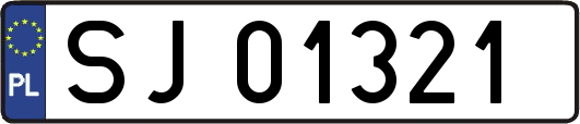 SJ01321