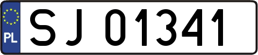 SJ01341