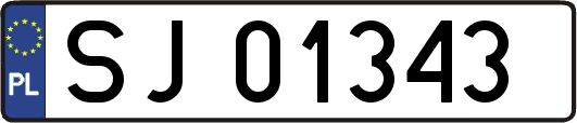 SJ01343