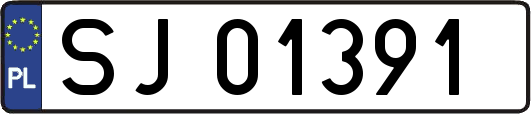 SJ01391