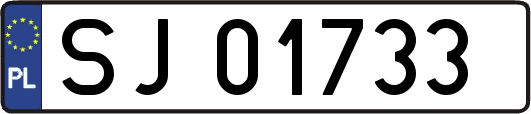SJ01733