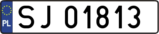 SJ01813