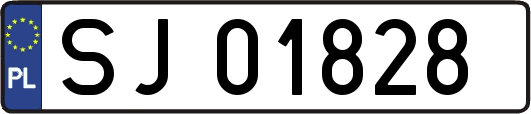 SJ01828
