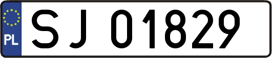 SJ01829