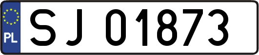 SJ01873