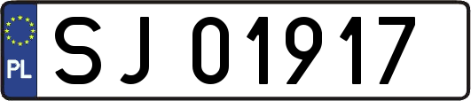 SJ01917