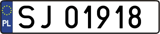 SJ01918
