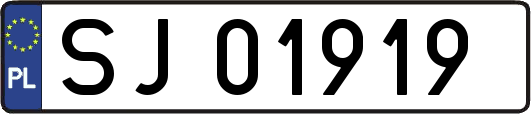 SJ01919