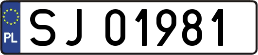 SJ01981