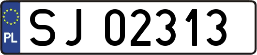 SJ02313