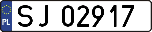 SJ02917
