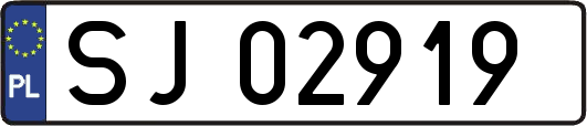 SJ02919