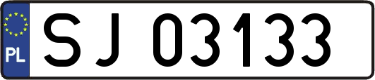 SJ03133