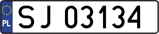 SJ03134