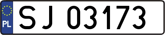 SJ03173