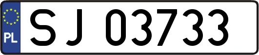SJ03733