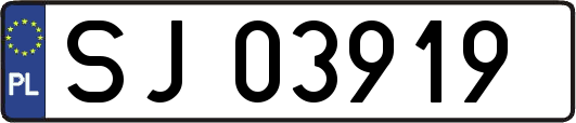 SJ03919