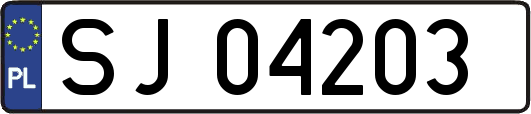 SJ04203