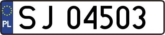 SJ04503