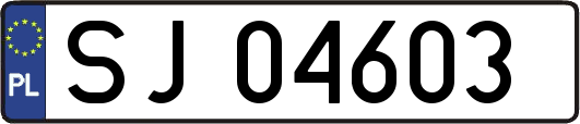 SJ04603