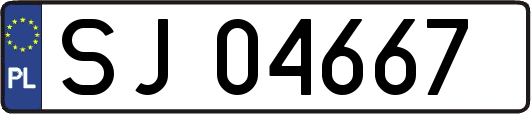 SJ04667