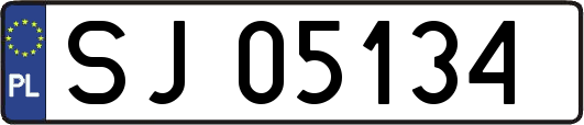 SJ05134
