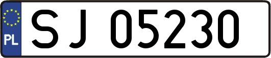 SJ05230