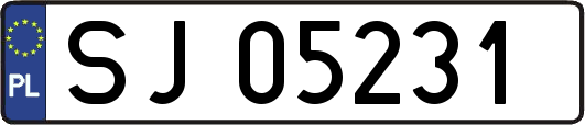SJ05231