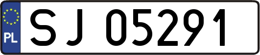 SJ05291