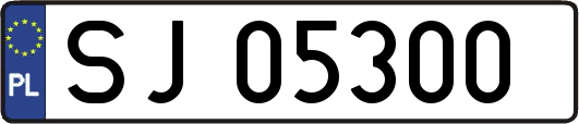 SJ05300