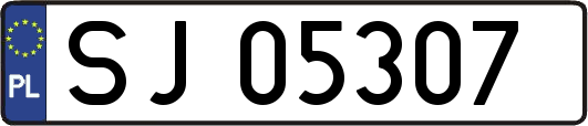 SJ05307