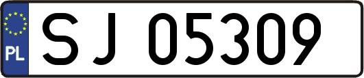 SJ05309