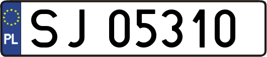 SJ05310